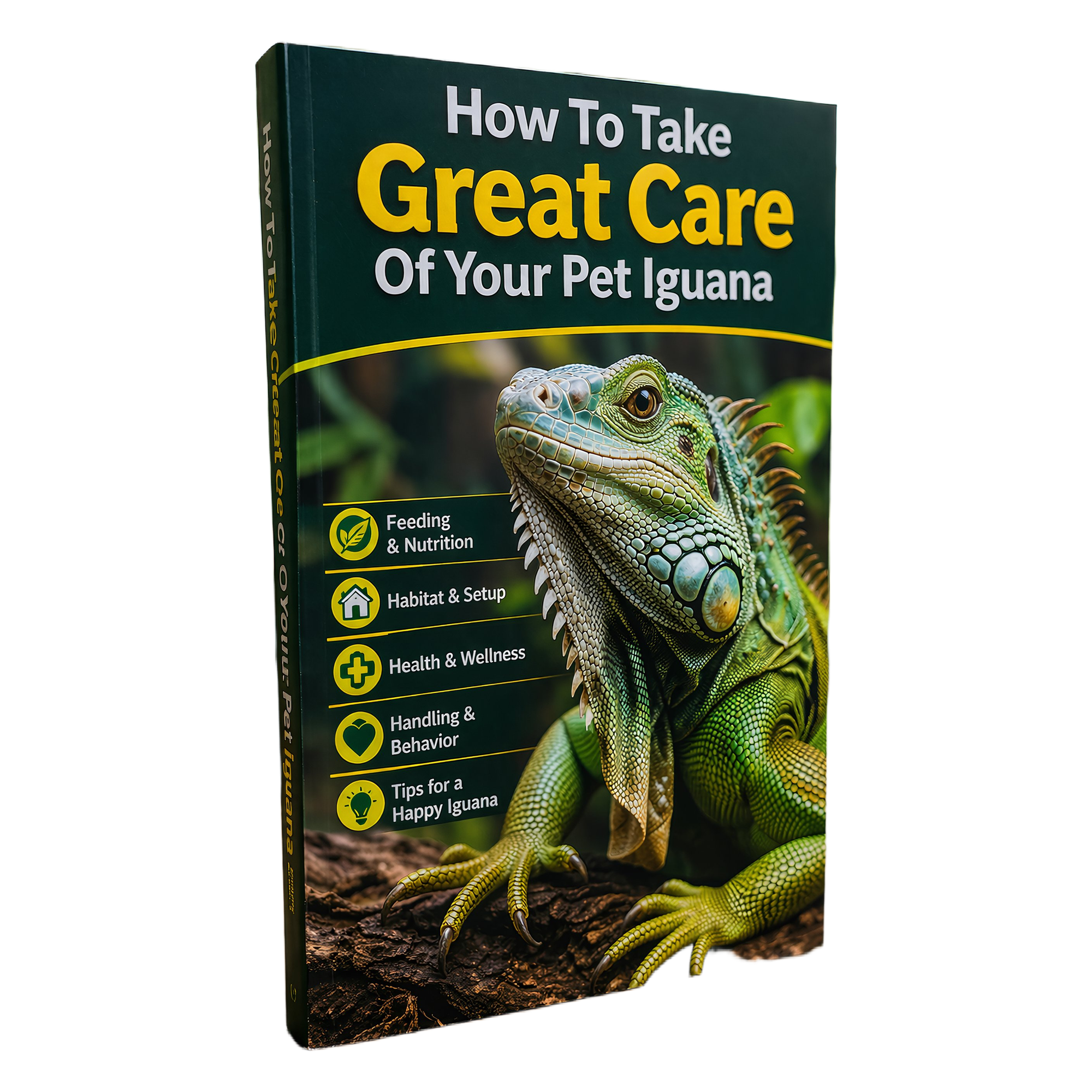 How To Take Great Care Of Your Pet Iguana