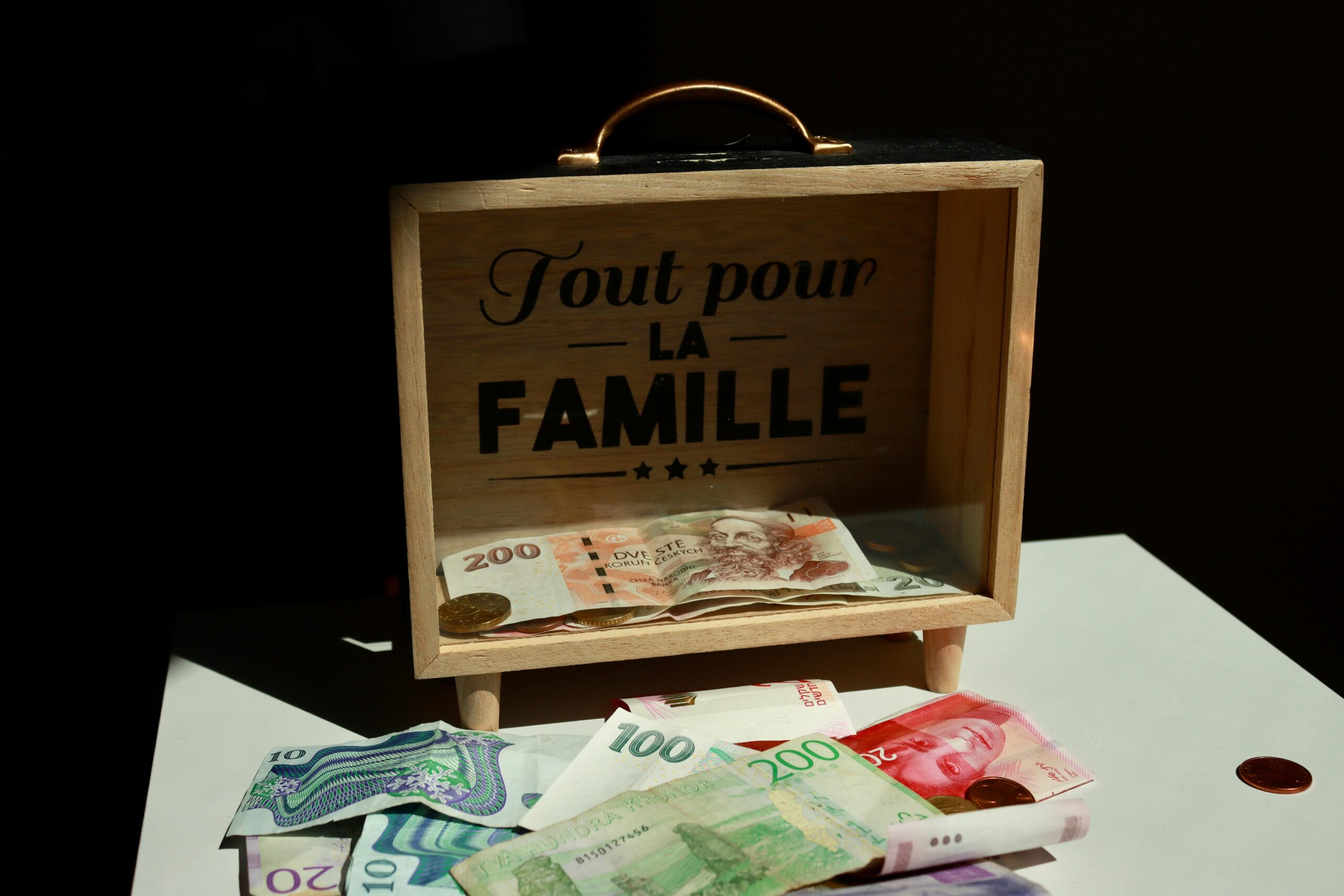 Family Budget … Demystified! - Image 3
