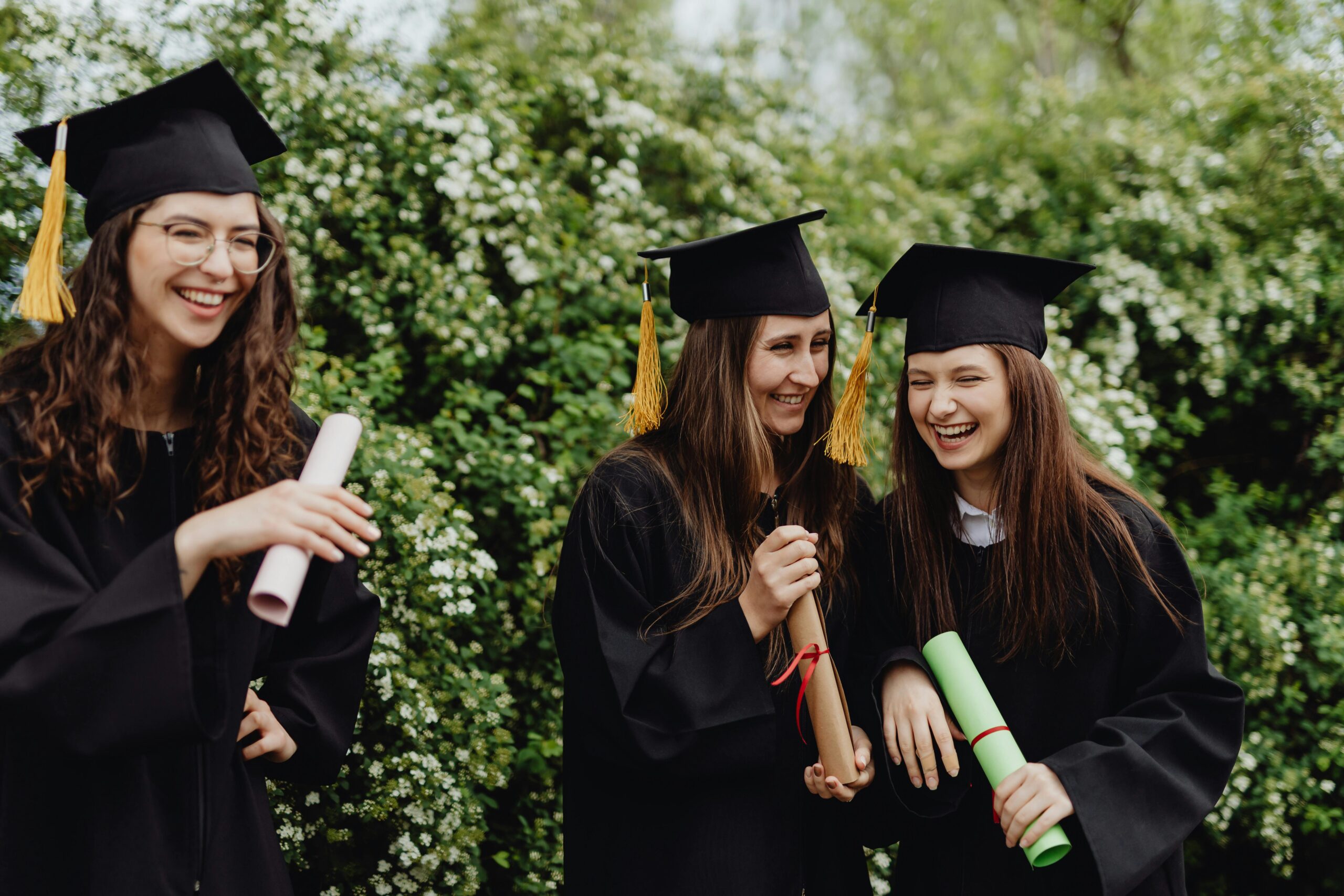 Understanding Scholarships - Image 4