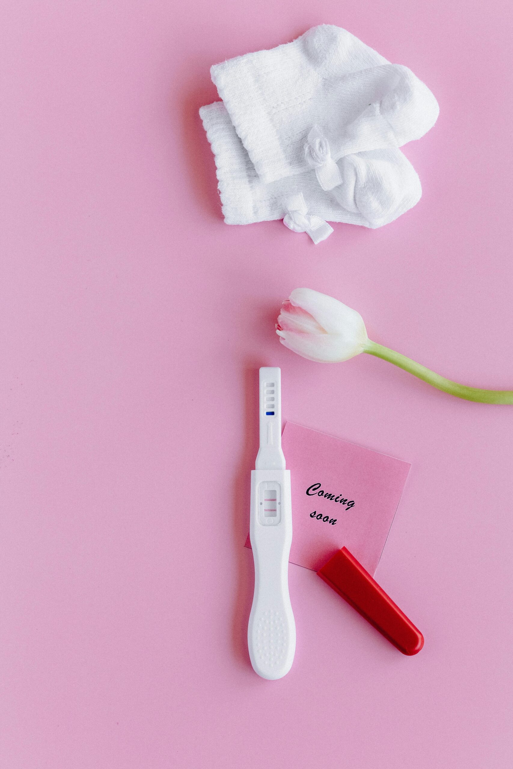 Understanding Pregnancy - Image 3